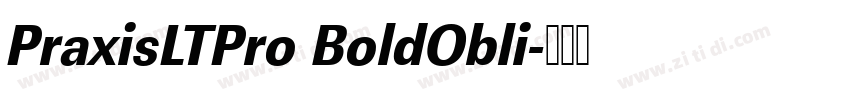PraxisLTPro BoldObli字体转换